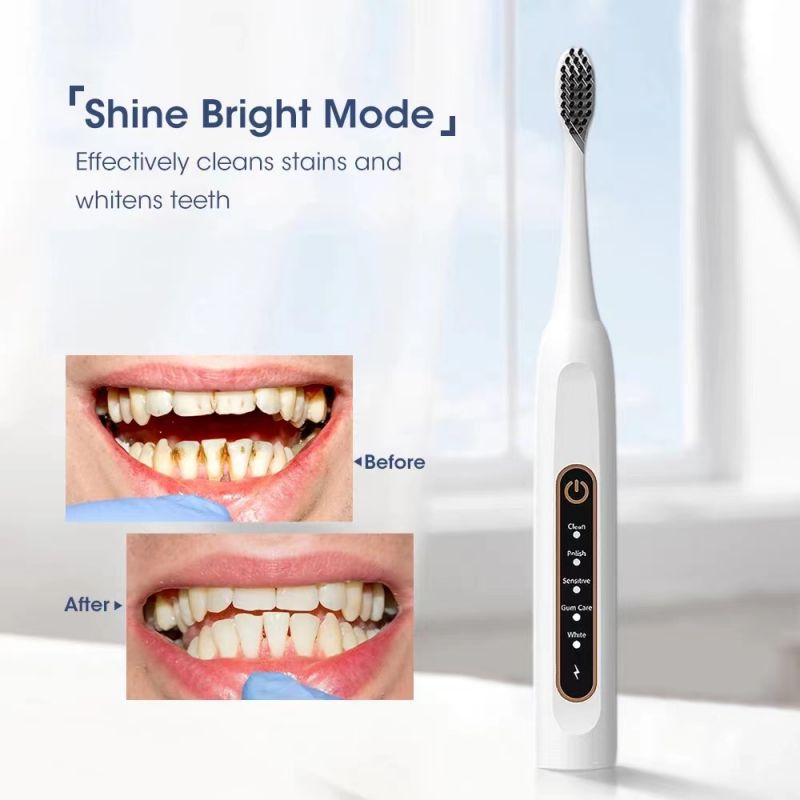 NoAging High Frequency Electric Smart Toothbrush, Rechargeable Travel Ultrasonic Vibration Whitening Toothbrush with LCD Adult Pen Shape Electric Toothbrush